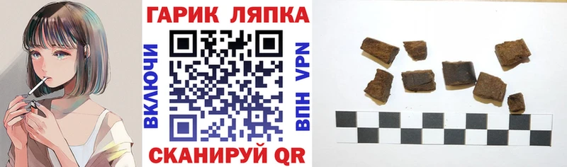 ГАШ VHQ  Шахунья 