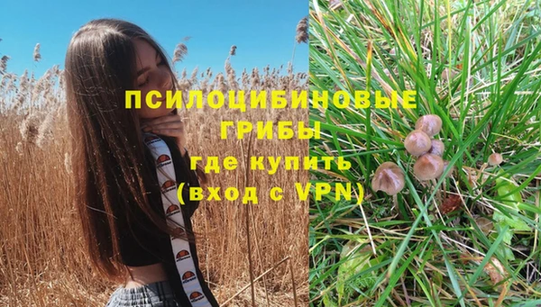 ешки Покровск