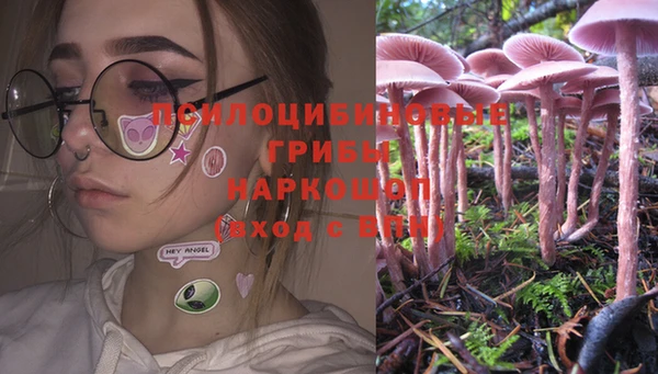 a pvp Беломорск