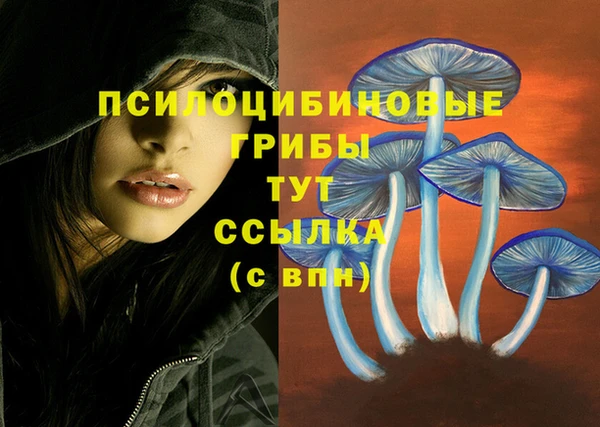 a pvp Беломорск