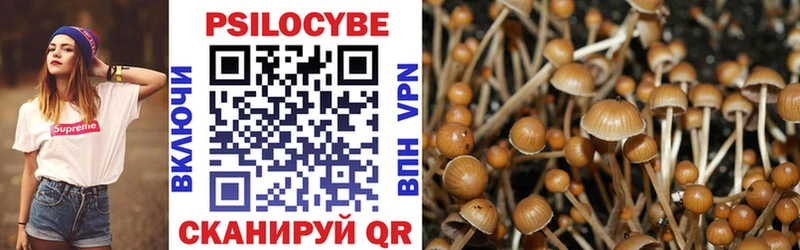 Галлюциногенные грибы мухоморы Шахунья